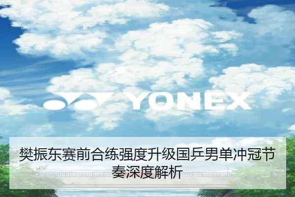 樊振东赛前合练强度升级国乒男单冲冠节奏深度解析