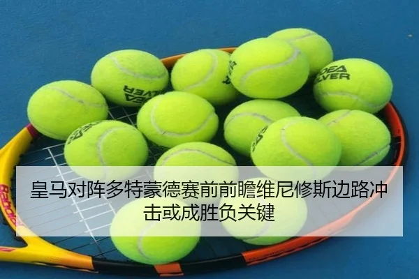 皇马对阵多特蒙德赛前前瞻维尼修斯边路冲击或成胜负关键
